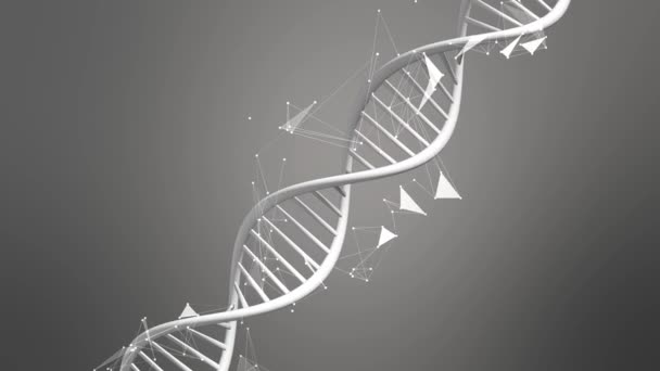 Dna结构 脱氧核糖核酸 3D动画用于医学科学Rna研究和生物学遗传学分子实验室研究 — 图库视频影像