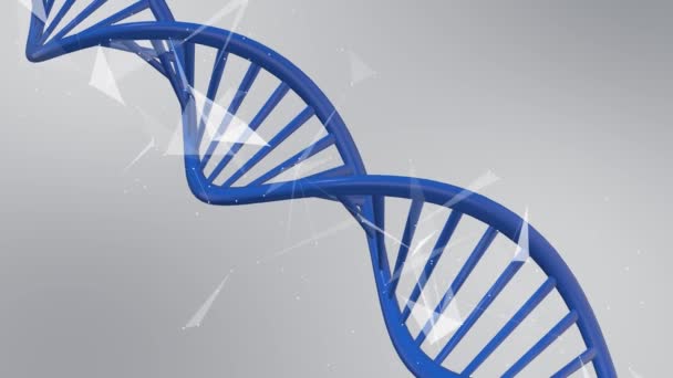 Dna结构 脱氧核糖核酸 3D动画用于医学科学Rna研究和生物学遗传学分子实验室研究 — 图库视频影像