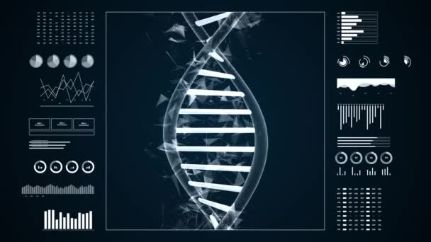 Структура Днк Діоксирибонуклеїнова Кислота Анімація Медичних Наукових Досліджень Рнк Біологічних — стокове відео