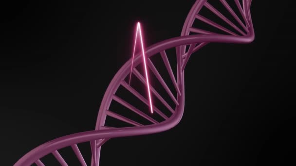 Struktura Dna Kyselina Deoxyribonukleová Animace Pro Lékařský Vědecký Výzkum Rna — Stock video