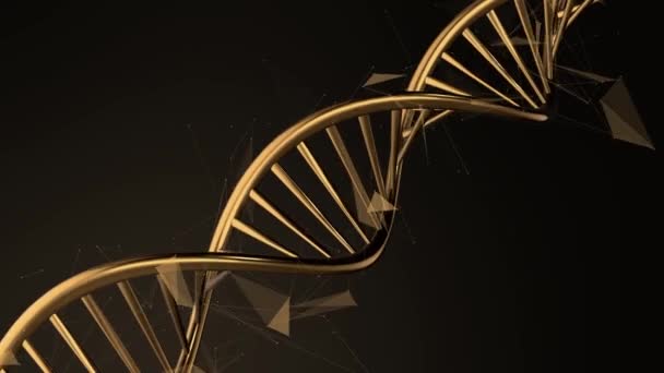 Структура Днк Діоксирибонуклеїнова Кислота Анімація Медичних Наукових Досліджень Рнк Біологічних — стокове відео