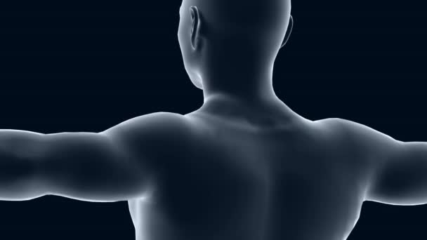 Animación Cuerpo Humano Salud Temas Médicos Enfoque Cuello Cuello — Vídeos de Stock