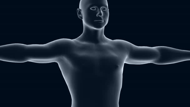 3Dアニメーション人間の体 医療や医療のトピック 胸と胸部に焦点を当てる — ストック動画