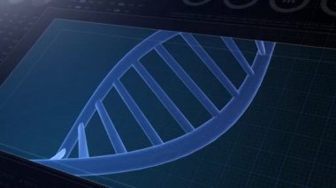DNA yapısı - Deoksiribonükleik asit. Tıbbi bilimsel RNA araştırması ve biyoloji genetik moleküler laboratuvar çalışması için üç boyutlu animasyon. 4K.