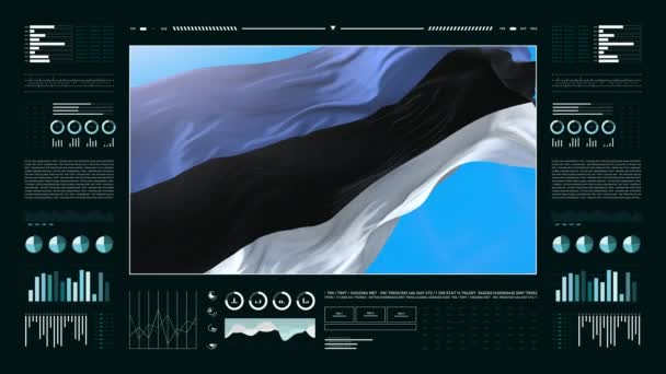エストニアの情報分析レポートと財務データ インフォグラフィックは フラグ 列番号と円グラフでアニメーションを表示します 金融科学 医療分野 — ストック動画