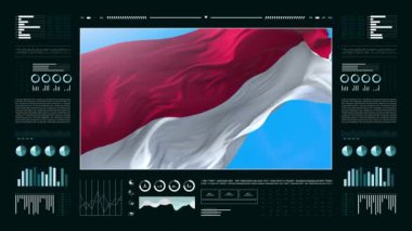 Monako bilgilendirme analizi raporları ve finansal veriler, bilgi grafikleri bayrak, sütun numaraları ve pasta grafikleriyle animasyon gösteriyor. Mali bilimsel ve tıbbi konular.
