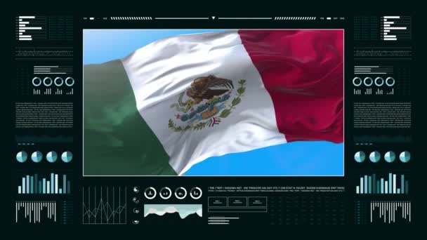 Meksika Bilgilendirme Analizi Raporları Finansal Veriler Bilgi Grafikleri Bayrak Sütun — Stok video