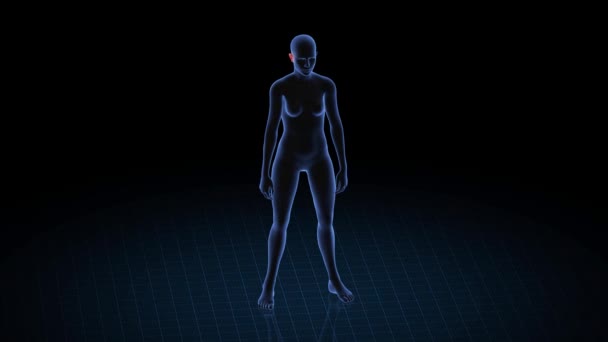 Flicka Med Öronpatologi Kropp Kvinnor Roterande Animation Och Närbild Kvinnlig — Stockvideo