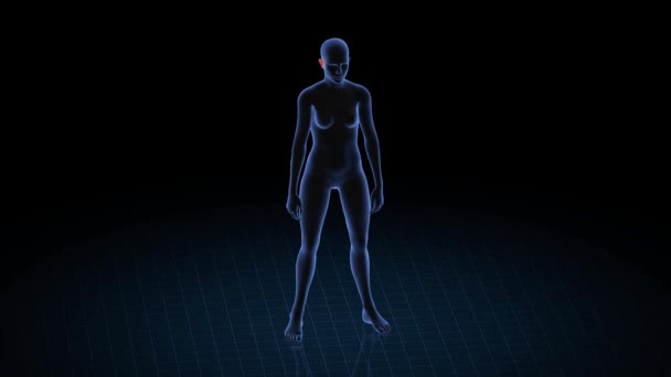 Chica Con Patología Del Oído Cuerpo Mujeres Animación Rotatoria Primer — Vídeos de Stock