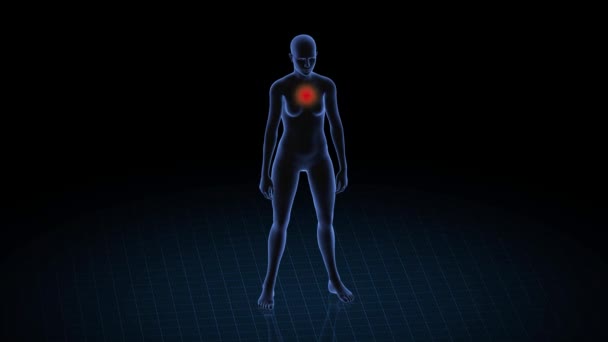 胸部病理の女の子 女性の3Dボディ アニメーションを回転させ 女性の人間構造の閉鎖 Hud映像 — ストック動画