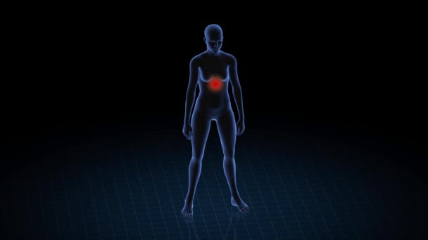 胃の病理学のピットを持つ女の子 女性の3Dボディ アニメーションを回転させ 女性の人間構造の閉鎖 Hud映像 — ストック動画