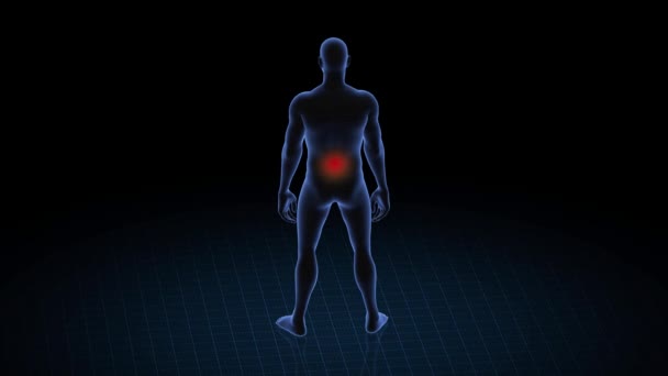 Homem Com Patologia Lombar Corpo Menino Animação Rotativa Close Estrutura — Vídeo de Stock