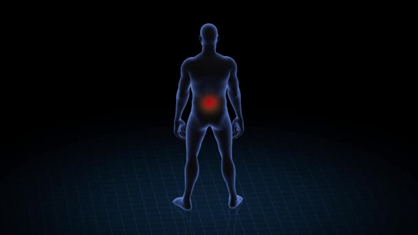 Hombre Con Patología Lumbar Cuerpo Niño Animación Rotatoria Primer Plano — Vídeo de stock