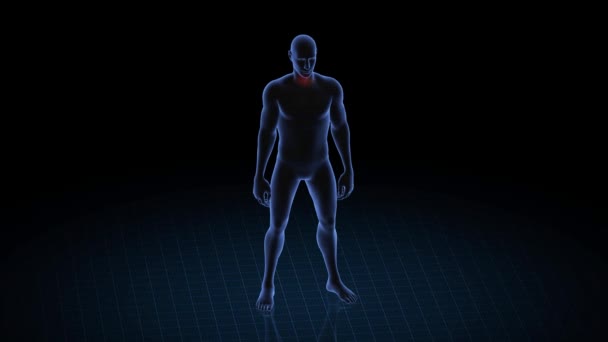 Mann Mit Halsschmerzen Körper Des Jungen Rotierende Animation Und Nahaufnahme — Stockvideo