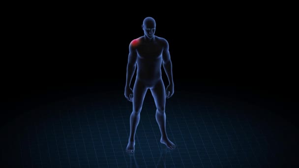 肩の病理の男 少年の3Dボディ アニメーションを回転させ 男性の人間構造の閉鎖 Hud映像 — ストック動画