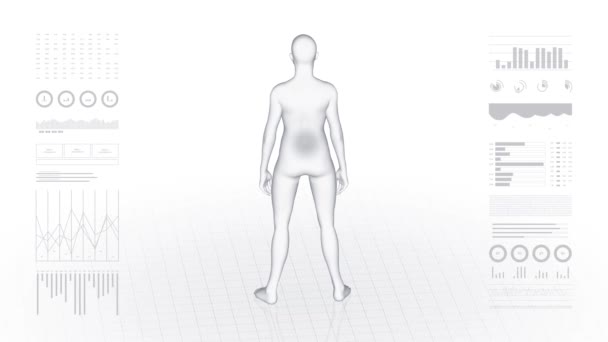 Ragazza Con Patologia Lombare Corpo Donne Animazione Rotante Primo Piano — Video Stock