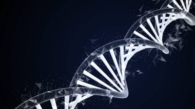 DNA yapısı - Deoksiribonükleik asit. Tıbbi bilimsel RNA araştırması ve biyoloji genetik moleküler laboratuvar çalışması için 3D..