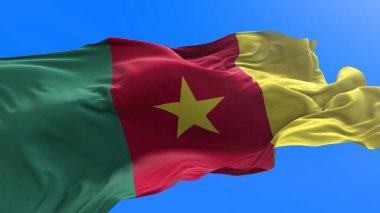 Kamerun bayrağı - 3D gerçekçi bayrak sallama arkaplanı