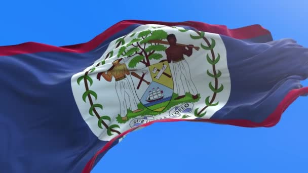 Belize Zászló Realisztikus Integető Zászló Háttér — Stock videók