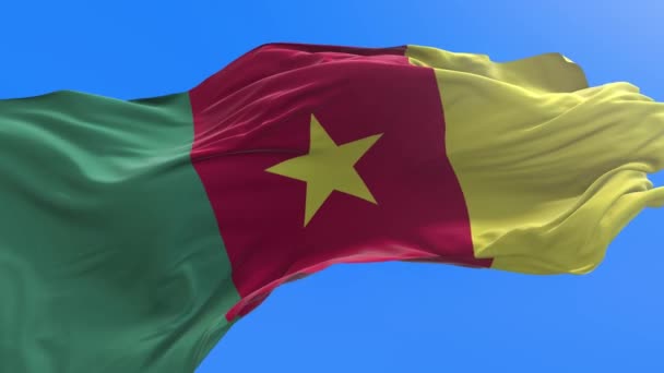 Cameroon Flag Realistic Waving Flag Background — Stock Video