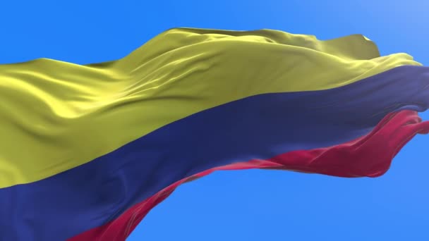 Colombia Flag Realistic Waving Flag Background — Stock Video