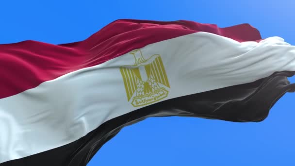 Flaga Egiptu Realistyczne Tło Flagi — Wideo stockowe