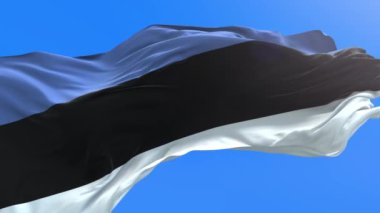 Estonya bayrağı - 3D gerçekçi bayrak sallama arkaplanı