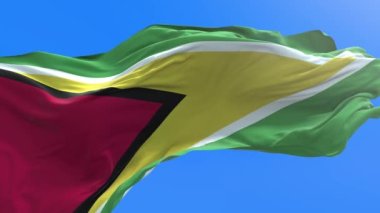 Guyana bayrağı - 3D gerçekçi bayrak sallama arkaplanı