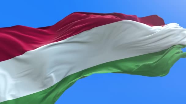 Hongaarse Vlag Realistische Zwaaiende Vlag Achtergrond — Stockvideo