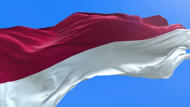 Indonesien Flagga Realistisk Viftande Flagga Bakgrund — Stockvideo