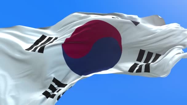 Флаг Южной Кореи Реалистичное Размахивание Флагом Фон — стоковое видео