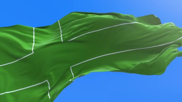 拉多尼亚旗 三维现实的挥旗背景 — 图库视频影像