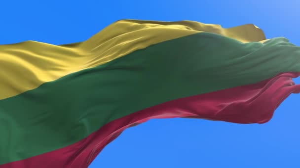 Litouwse Vlag Realistische Zwaaiende Vlag Achtergrond — Stockvideo