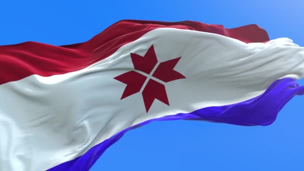 莫尔多维亚国旗 3D真实感挥动国旗背景 — 图库视频影像