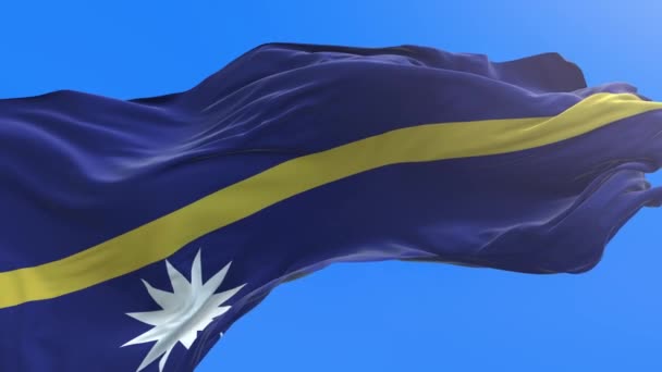 Nauru Flag Realistické Vlnění Vlajky Pozadí — Stock video