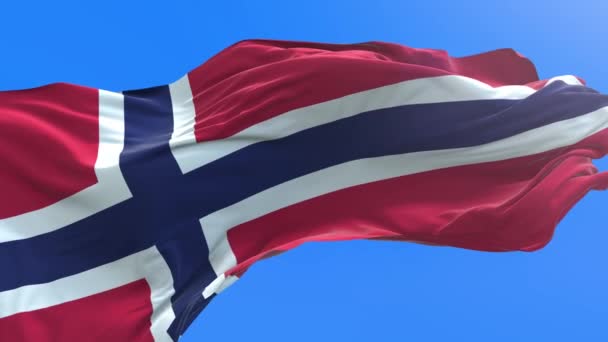 挪威国旗3D真实感挥动国旗背景 — 图库视频影像