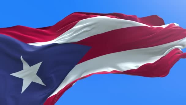 Puerto Rico Vlag Realistische Zwaaiende Vlag Achtergrond — Stockvideo