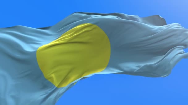 Palau Flag 현실적 흔들기 플래그 — 비디오