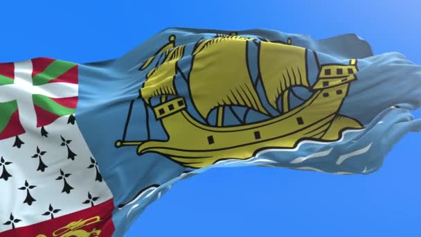 Saint Pierre Och Miquelon Flagga Realistisk Viftande Flagga Bakgrund — Stockvideo