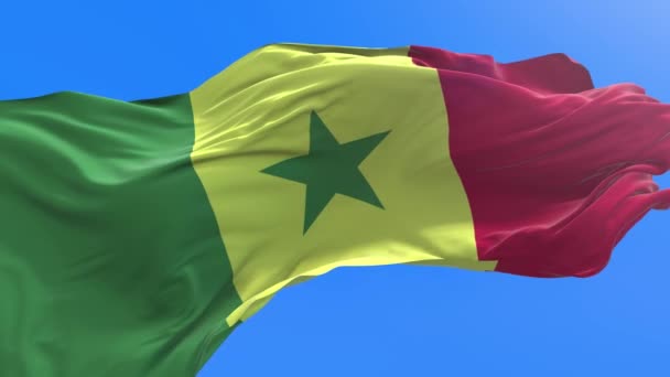 세네갈의 현실적 흔들기 — 비디오