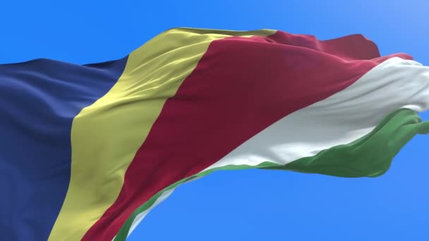 Seychely Vlajka Realistické Vlnění Vlajky Pozadí — Stock video