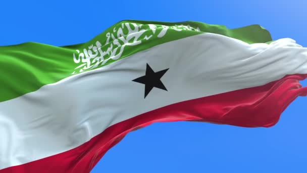 Somaliland Vlag Realistische Zwaaiende Vlag Achtergrond — Stockvideo