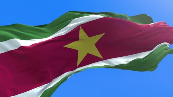 Surinaamse Vlag Realistische Zwaaiende Vlag Achtergrond — Stockvideo