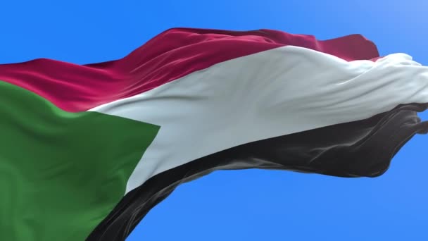苏丹国旗 三维现实挥动国旗背景 — 图库视频影像