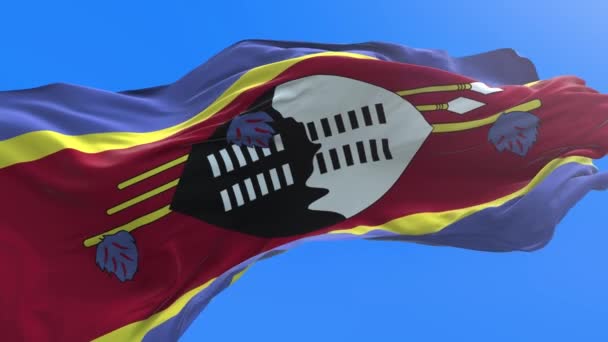 Swaziland Vlag Realistische Zwaaiende Vlag Achtergrond — Stockvideo