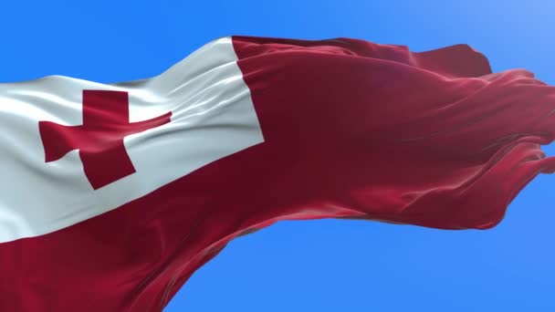 Tonga Flag Realistic Waving Flag Background — Stock Video