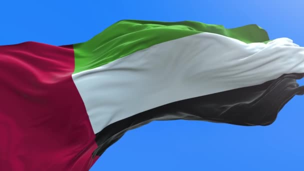 阿拉伯联合酋长国国旗 3D现实挥动国旗背景 — 图库视频影像