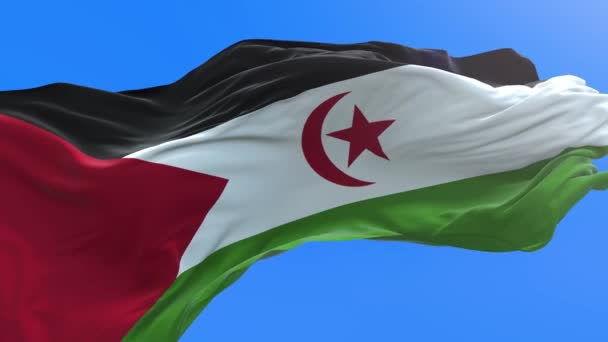 Western Sahara Flag Realistic Waving Flag Background — Stock Video