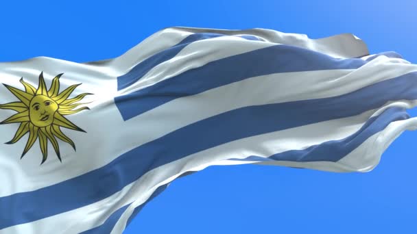 Bandeira Uruguai Realista Acenando Fundo Bandeira — Vídeo de Stock