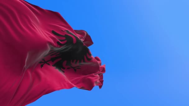 Albánie Vlajka Realistické Vlnění Vlajky Pozadí — Stock video
